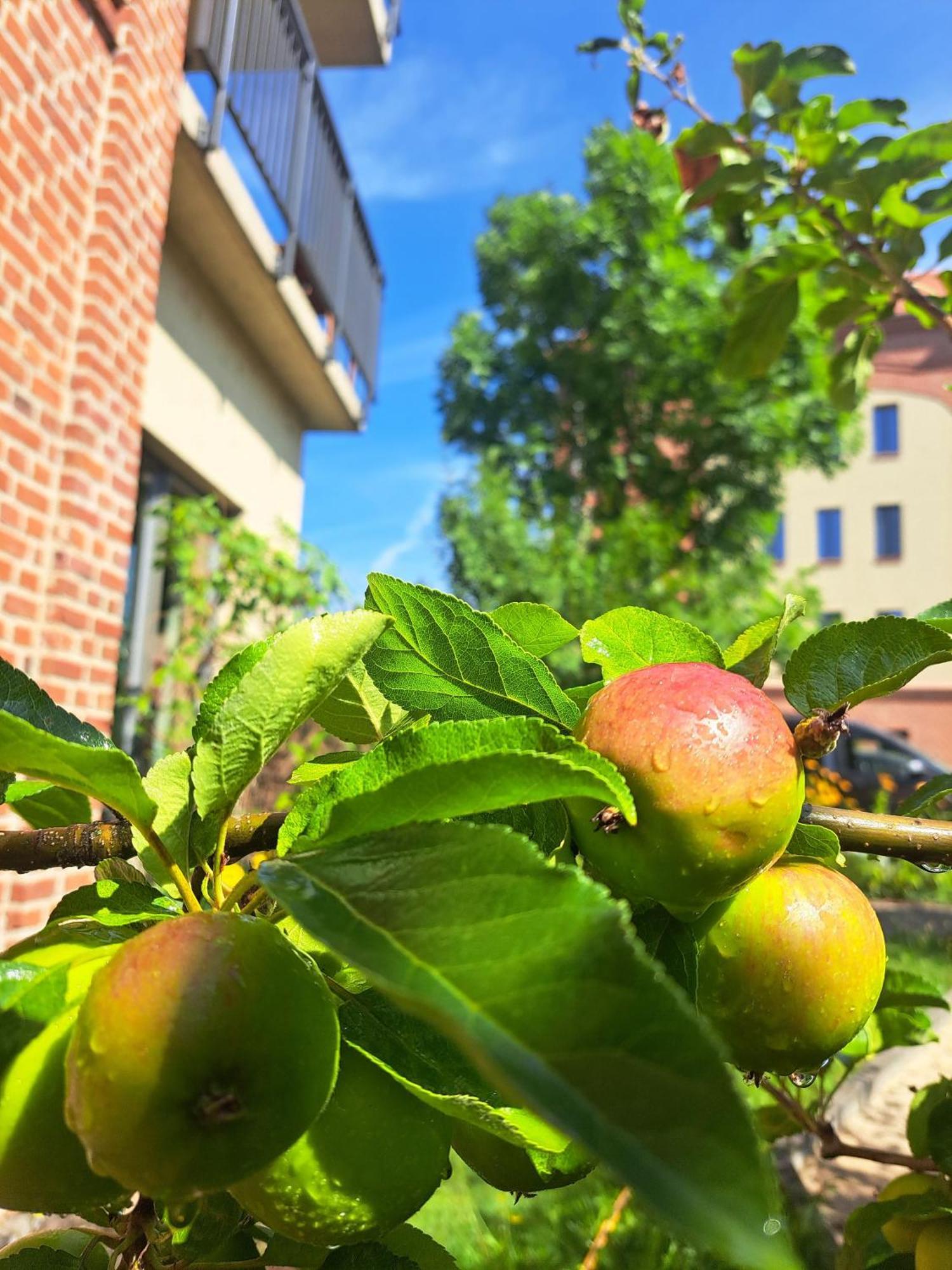 Apartmán Ferienremise Brandenburg  Exteriér fotografie